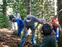 e Contournement de l arbre couche en travers du chemin.JPG
